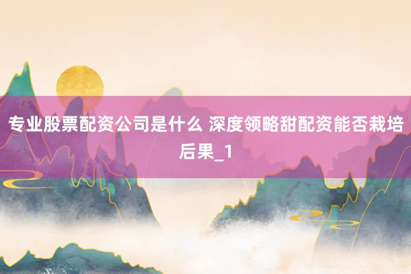 专业股票配资公司是什么 深度领略甜配资能否栽培后果_1